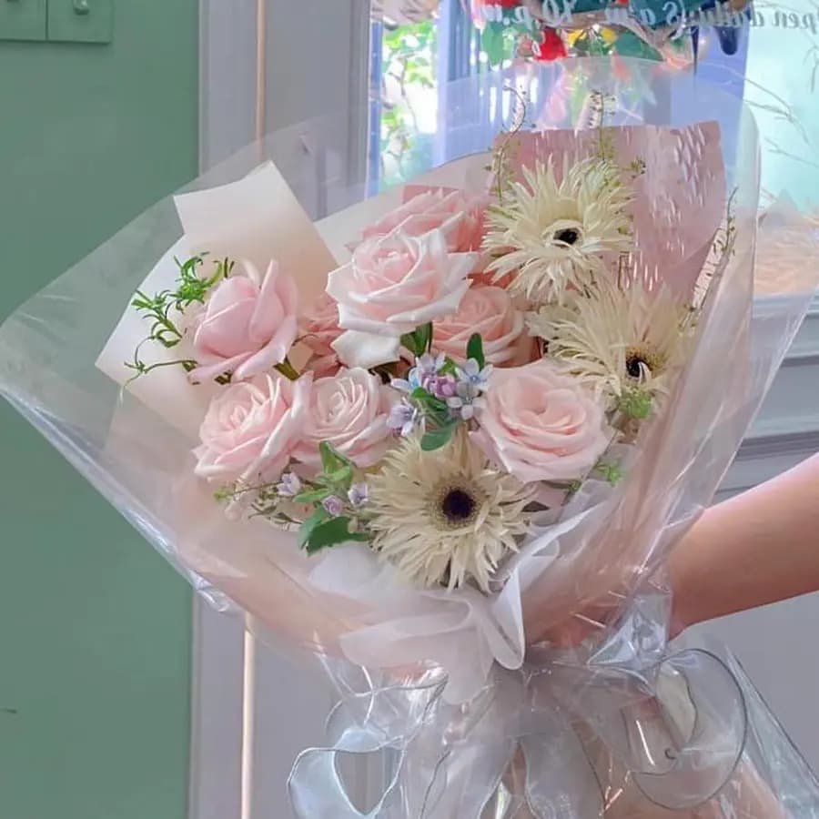 Dịu dàng sớm mai